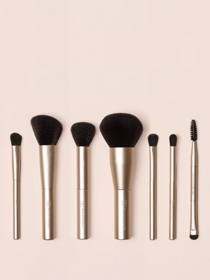 Professional Brush Collection