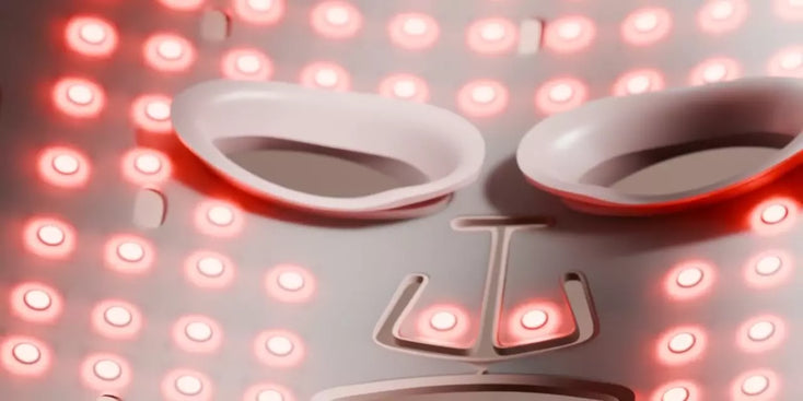 videowise-widget-6705009feccc190029714695-15446148972918